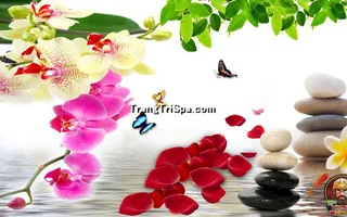 Tranh Hoa 3D Dán Tường Trang Trí Spa Phong Cách Đương Đại Và Sang Trọng 