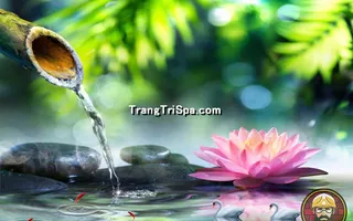Tranh Hoa 3D Dán Tường Trang Trí Spa Phong Cách Đương Đại Và Sang Trọng 
