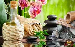 Tranh Hoa 3D Dán Tường Trang Trí Spa Phong Cách Đương Đại Và Sang Trọng 