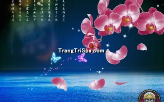 Tranh Hoa 3D Dán Tường Trang Trí Spa Phong Cách Đương Đại Và Sang Trọng 