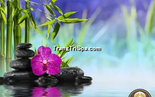 Tranh Hoa 3D Dán Tường Trang Trí Spa Phong Cách Đương Đại Và Sang Trọng 