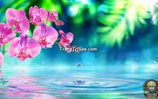 Tranh Hoa 3D Dán Tường Trang Trí Spa Phong Cách Đương Đại Và Sang Trọng 