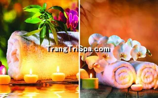 Tranh Hoa 3D Dán Tường Trang Trí Spa Phong Cách Đương Đại Và Sang Trọng 