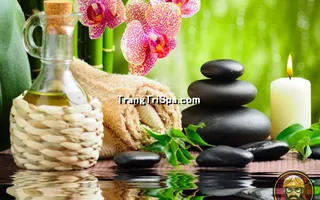 Tranh Hoa 3D Dán Tường Trang Trí Spa Phong Cách Đương Đại Và Sang Trọng 