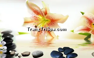 Tranh Hoa 3D Dán Tường Trang Trí Spa Phong Cách Đương Đại Và Sang Trọng 