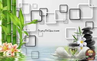 Tranh Hoa 3D Dán Tường Trang Trí Spa Phong Cách Đương Đại Và Sang Trọng 