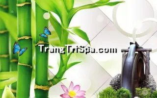 Tranh Hoa 3D Dán Tường Trang Trí Spa Phong Cách Đương Đại Và Sang Trọng 