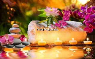 Tranh Hoa 3D Dán Tường Trang Trí Spa Phong Cách Đương Đại Và Sang Trọng 