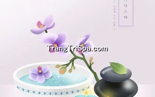Mẫu Tranh Dán Tường Spa Kết Hợp Phong Cảnh Thiên Nhiên Tạo Sự Thẩm Mỹ Cao 