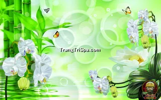 Mẫu Tranh Dán Tường Spa Kết Hợp Phong Cảnh Thiên Nhiên Tạo Sự Thẩm Mỹ Cao 