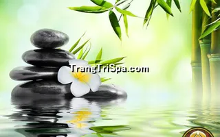 Mẫu Tranh Dán Tường Spa Kết Hợp Phong Cảnh Thiên Nhiên Tạo Sự Thẩm Mỹ Cao 