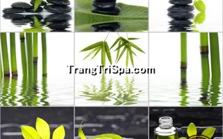 Mẫu Tranh Dán Tường Spa Kết Hợp Phong Cảnh Thiên Nhiên Tạo Sự Thẩm Mỹ Cao 