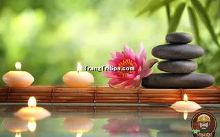 Tranh Dán Tường Spa Kết Hợp Với Nến Mang Đến Không Gian Nổi Bật Và Lung Linh