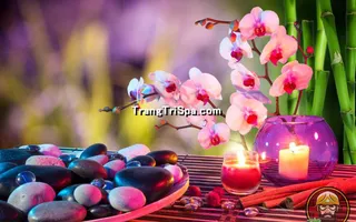 Tranh Dán Tường Spa Kết Hợp Với Nến Mang Đến Không Gian Nổi Bật Và Lung Linh
