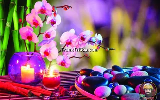 Tranh Dán Tường Spa Kết Hợp Với Nến Mang Đến Không Gian Nổi Bật Và Lung Linh