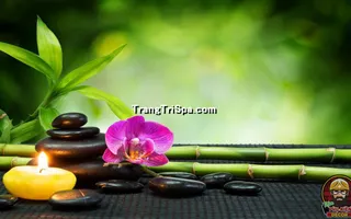 Tranh Dán Tường Spa Kết Hợp Với Nến Mang Đến Không Gian Nổi Bật Và Lung Linh