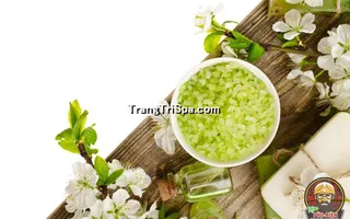 Mẫu Tranh Dán Tường 3D Tiệm Spa Kết Hợp Thảo Mộc Thể Hiện Sự Sang Trọng Và Đẳng Cấp Thẩm Mỹ 