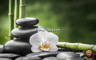 Mẫu Tranh Dán Tường 3D Tiệm Spa Kết Hợp Thảo Mộc Thể Hiện Sự Sang Trọng Và Đẳng Cấp Thẩm Mỹ 