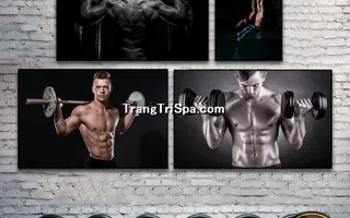 Mẫu tranh treo phòng Gym, Fitness, phòng tập thể hình Nam tạo động lực dồi dào cho học viên, gymer