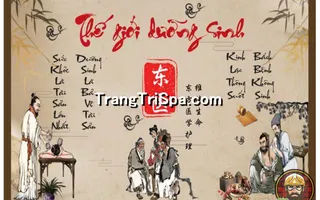 Tranh Gội đầu Dưỡng sinh Trung Hoa : Điểm nhấn nghệ thuật độc đáo cho không gian Spa