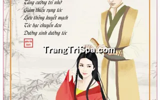 Tranh Gội đầu Dưỡng sinh Trung Hoa : Điểm nhấn nghệ thuật độc đáo cho không gian Spa