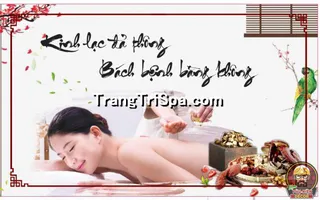 Tranh Gội đầu Dưỡng sinh Trung Hoa : Điểm nhấn nghệ thuật độc đáo cho không gian Spa