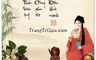 Tranh Gội đầu Dưỡng sinh Trung Hoa : Điểm nhấn nghệ thuật độc đáo cho không gian Spa