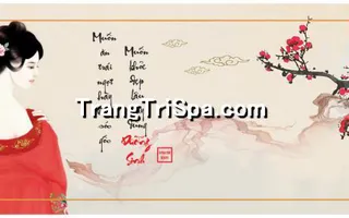 Tranh Gội đầu Dưỡng sinh Trung Hoa : Điểm nhấn nghệ thuật độc đáo cho không gian Spa