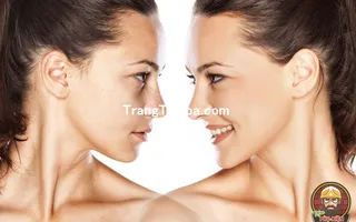 Trang Trí Tiệm Spa - Thẩm Mỹ Viện Bằng Tranh Treo Tường, Dán Tường Và Dán Kính Thịnh Hành Nhất Hiện Nay 