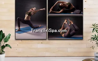 Mẫu Tranh Phòng Tập Yoga Thịnh Hành Treo Tường Trang Trí 