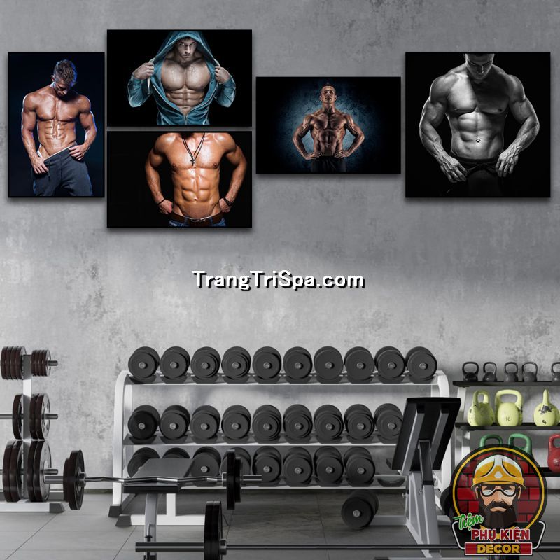 Gym Fitness Wallpapers  Top Những Hình Ảnh Đẹp