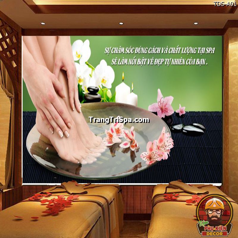 Tranh dán tường Thảo dược Đông y trang trí phòng Spa dưởng sinh độc đáo Tranh dán tường Thảo dược Đông y trang trí phòng Spa dưởng sinh độc đáo