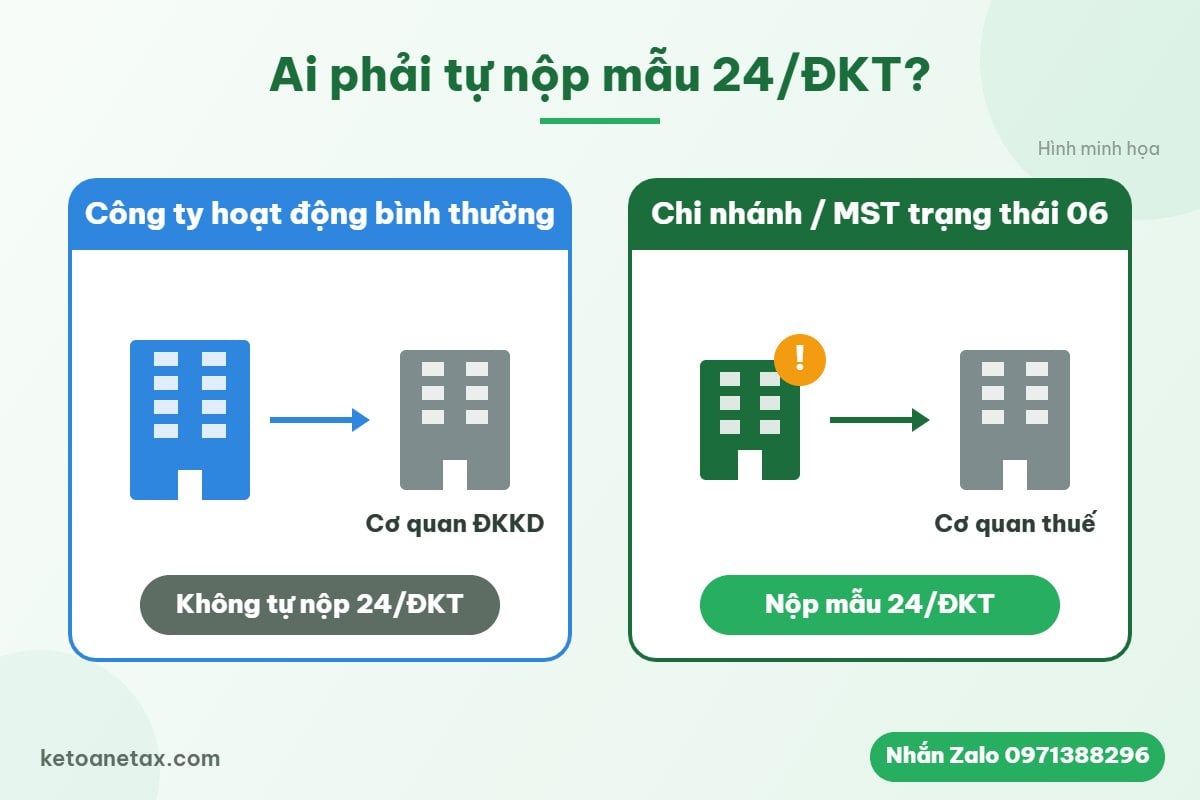 Hình minh họa so sánh trường hợp doanh nghiệp phải và không phải nộp mẫu 24/ĐKT