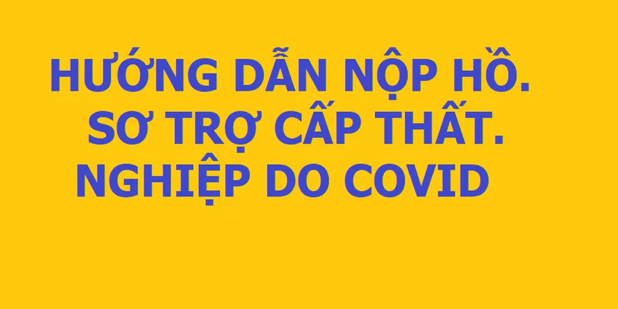 Nộp Hồ Sơ Hưởng  Trợ Cấp  Nghỉ Việc Không Lương Do Covid Ở Đâu
