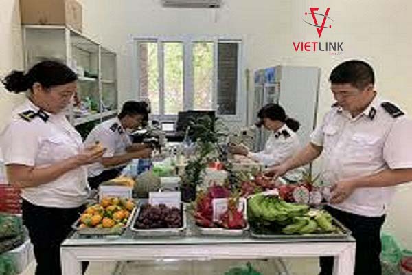 Kiểm dịch thực vật