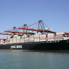 CHI TIẾT HÃNG TÀU YANGMING