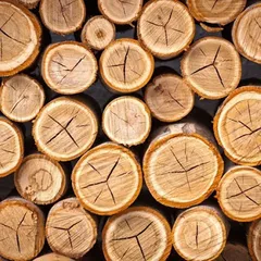 THỦ TỤC NHẬP KHẨU GỖ