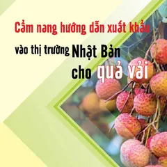 Hướng dẫn xuất khẩu quả vải thiều vào thị trường Nhật Bản