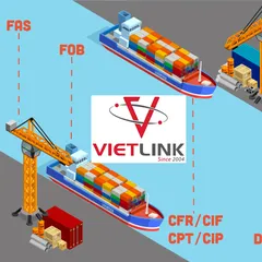 VẬN CHUYỂN HÀNG HÓA QUỐC TẾ