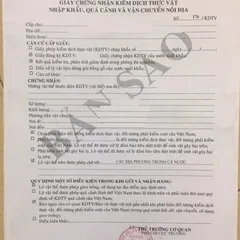 HỒ SƠ CẤP GIẤY CHỨNG NHẬN KIỂM DỊCH