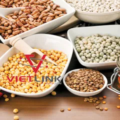 THỦ TỤC NHẬP KHẨU THỰC PHẨM CÓ NGUỒN GỐC TỪ THỰC VẬT