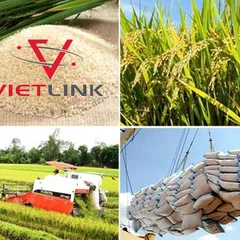 THỦ TỤC XUẤT KHẨU GẠO TỪ VIỆT NAM SANG MONGOLIA, MÔNG CỔ