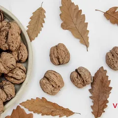 BẢNG MÃ HS CỦA TRÁI CÂY (PHẦN 1)