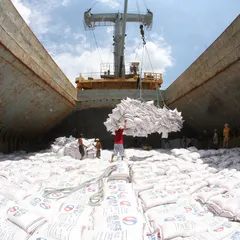 THỦ TỤC XUẤT KHẨU GẠO