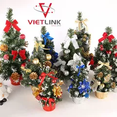 THỦ TỤC NHẬP KHẨU CÂY THÔNG NOEL