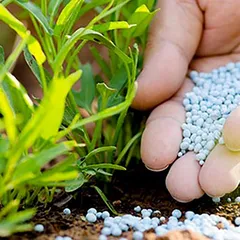 THỦ TỤC NHẬP KHẨU PHÂN BÓN HÓA HỌC