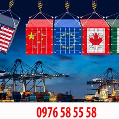 WO/ PE/ RVC/ CTC/ SP… Các tiêu chí xuất xứ trên C/O theo các hiệp định thương mại