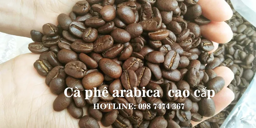 Cung cấp cà phê hạt rang mộc arabica và robusta giá sỉ tại tphcm