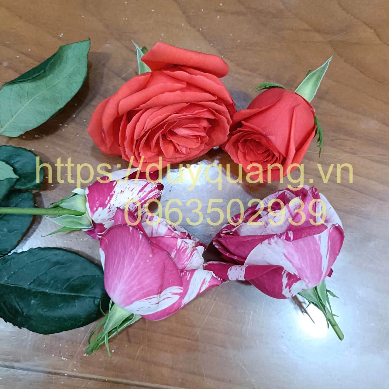 BỘT SILICAGEL LÀM HOA KHÔ - CÁT NHUYỄN LÀM HOA KHÔ