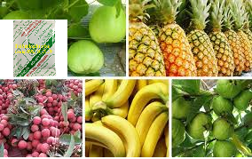 Túi khử ethylene Túi khử ethylene